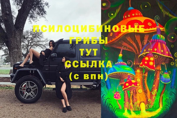 бутират Переславль-Залесский