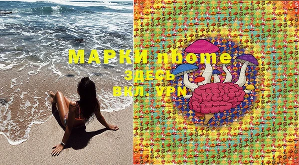 прущий лед Пересвет
