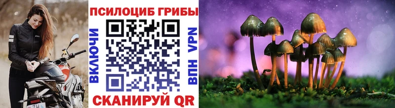 Псилоцибиновые грибы ЛСД где найти наркотики MEGA рабочий сайт Правдинск